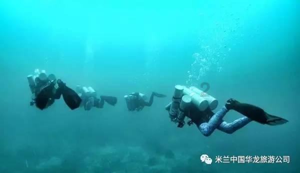犀牛森林大逃生