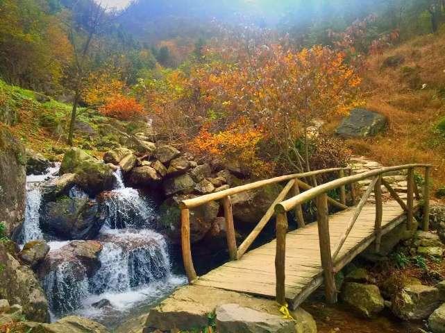 虫虫助手下载